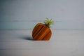 Little Air Plant Holder - Quarter Circle AK Boutique