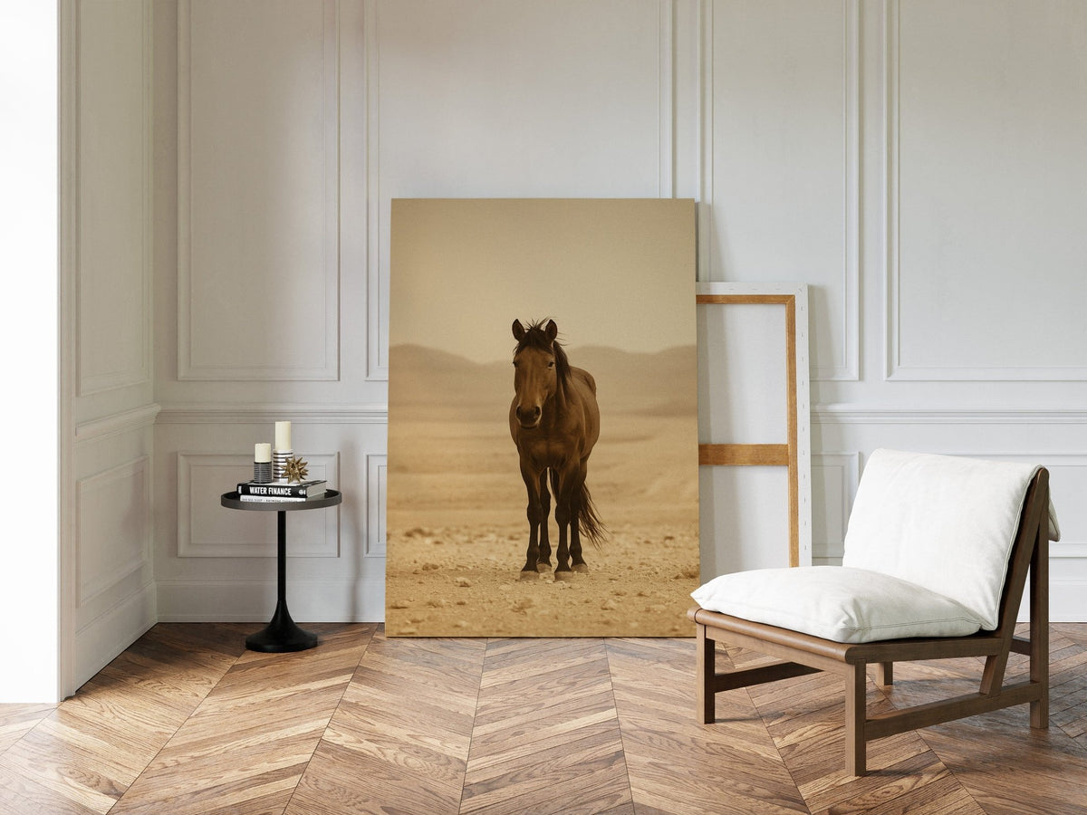 Lone Desert Mustang - Quarter Circle AK Boutique