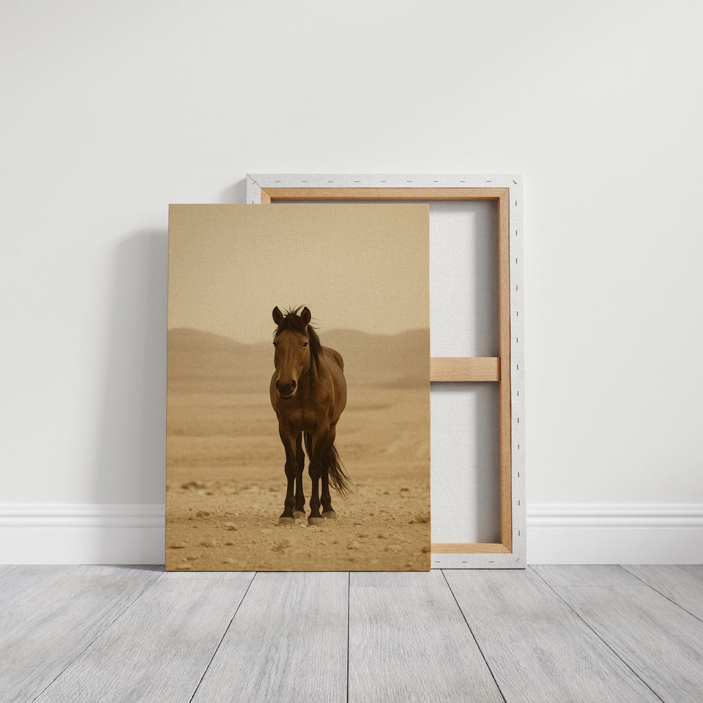 Lone Desert Mustang - Quarter Circle AK Boutique