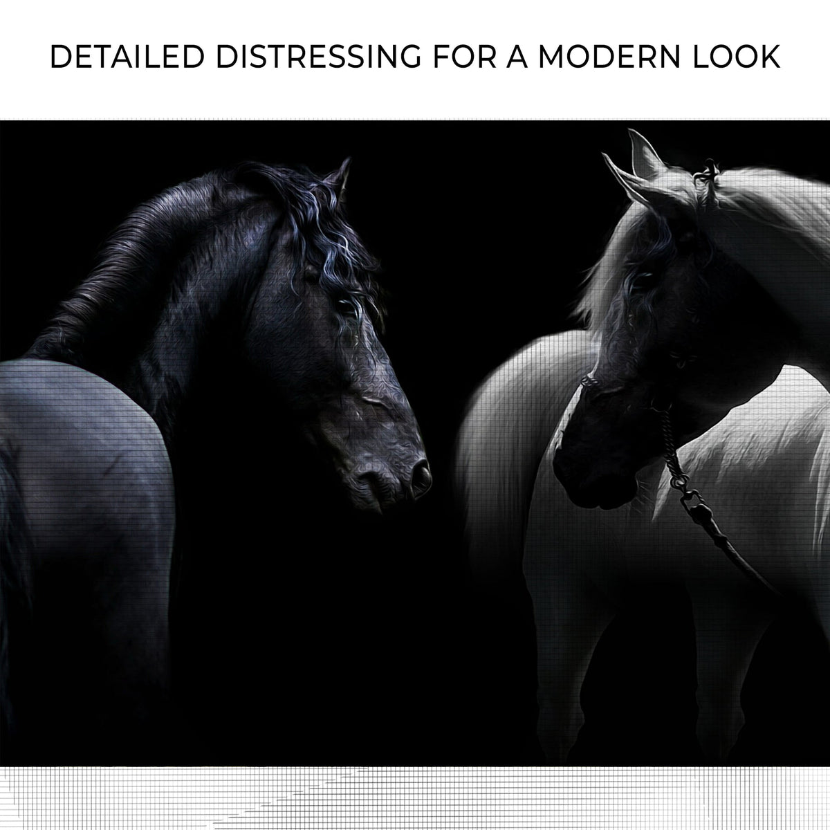 Monochromatic Horses Canvas Wall Art - Quarter Circle AK Boutique