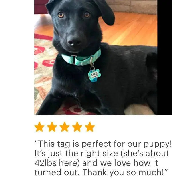Personalized Dog Tag - Dog ID Tag - Personalized Bone Dog Tag - Pet Gift - Custom Pet ID Tag - Gray Mint