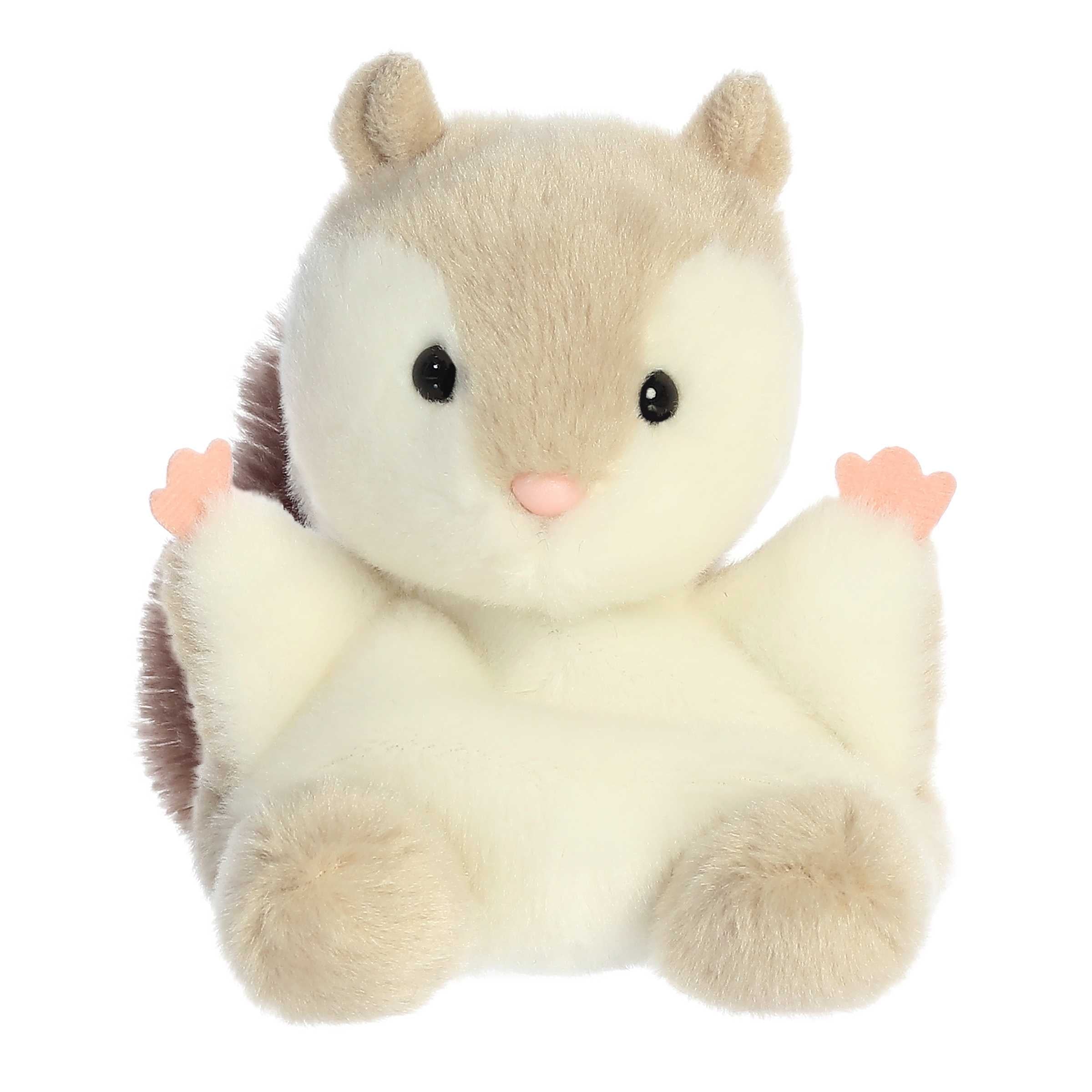 Flaps Flying Squirrel  Palm Pal