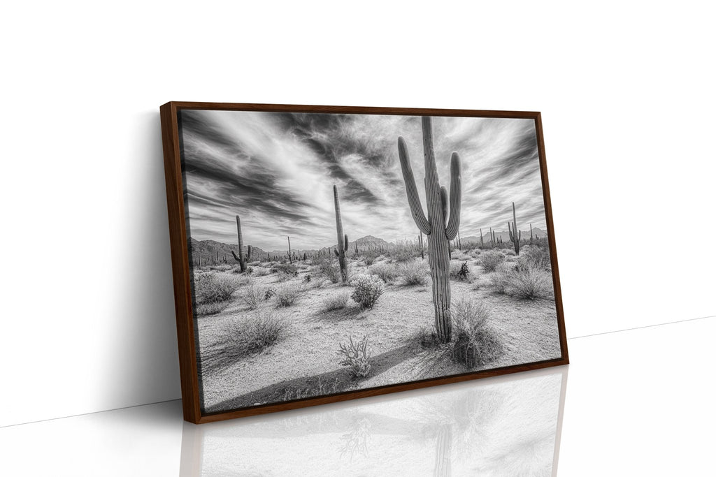 Saguaro Silence in Black and White - Quarter Circle AK Boutique