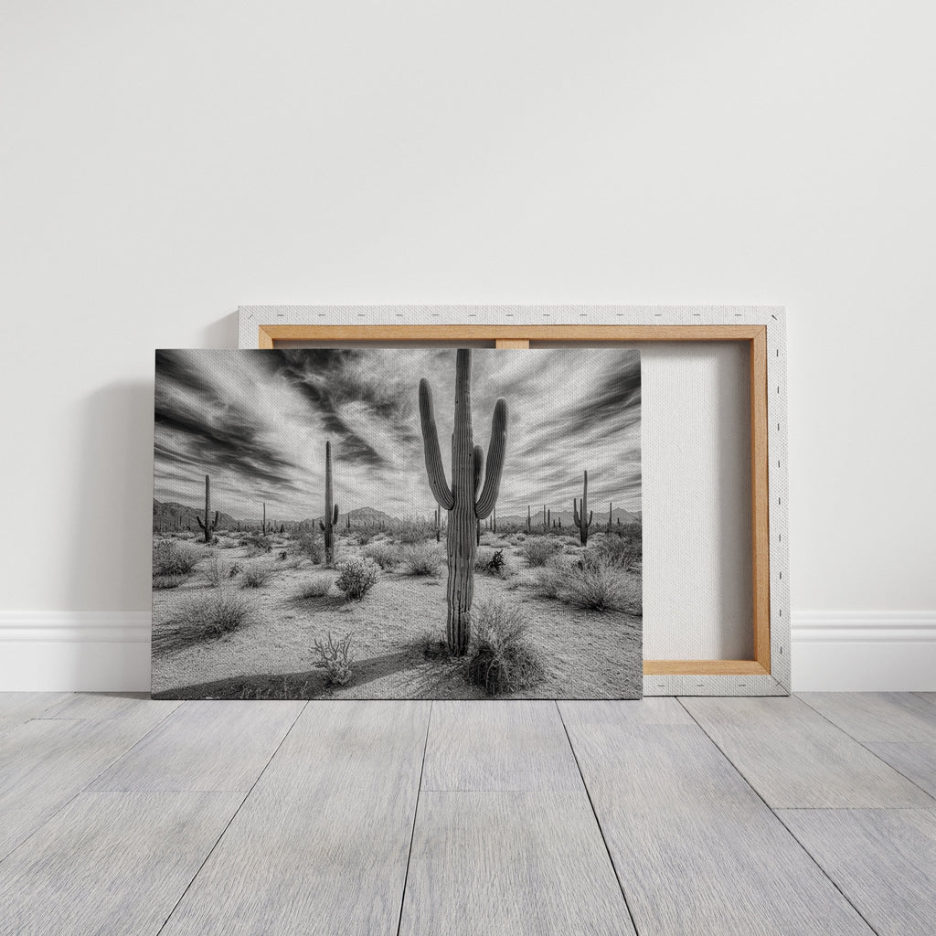 Saguaro Silence in Black and White - Quarter Circle AK Boutique