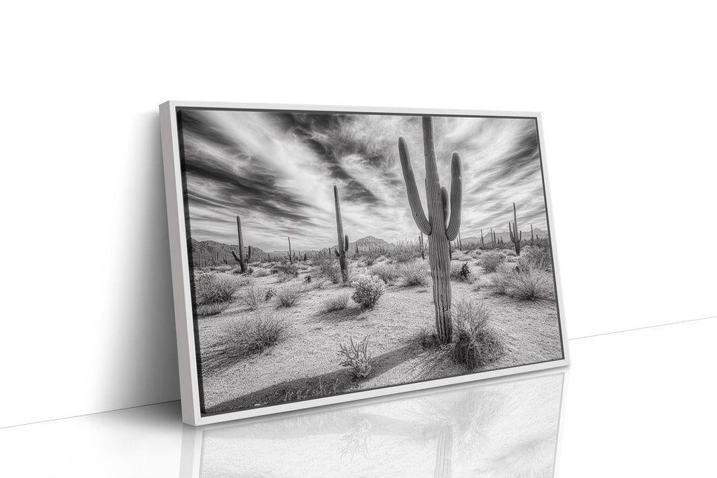 Saguaro Silence in Black and White - Quarter Circle AK Boutique