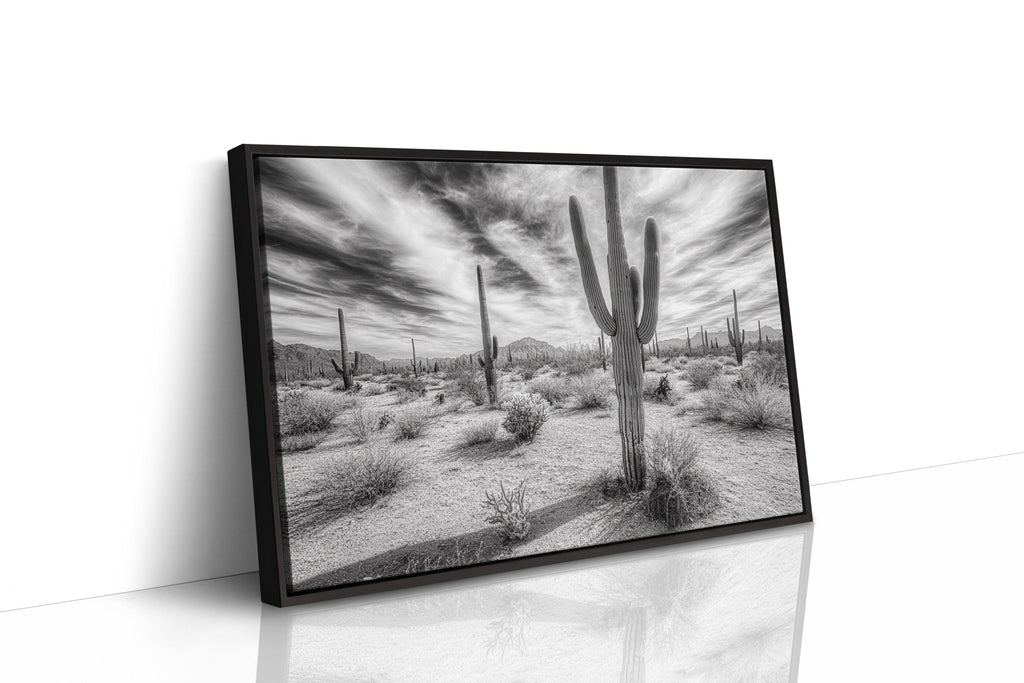 Saguaro Silence in Black and White - Quarter Circle AK Boutique