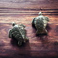 Sea Turtle post earrings - Sterling silver