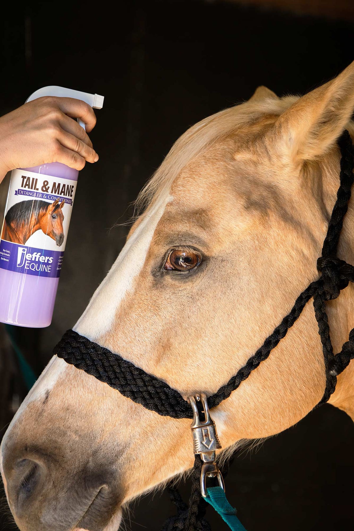 Jeffers Equine Tail & Mane Detangler and Conditioner Spray for Horses
