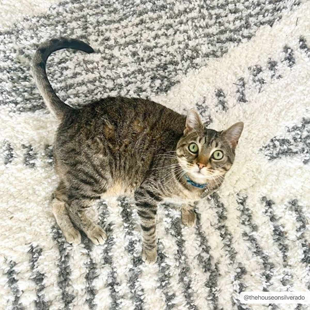 Trunding Plush Area Rug - Quarter Circle AK Boutique