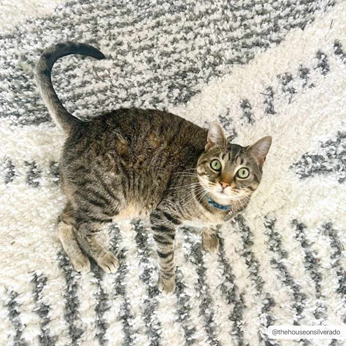 Trunding Plush Area Rug - Quarter Circle AK Boutique