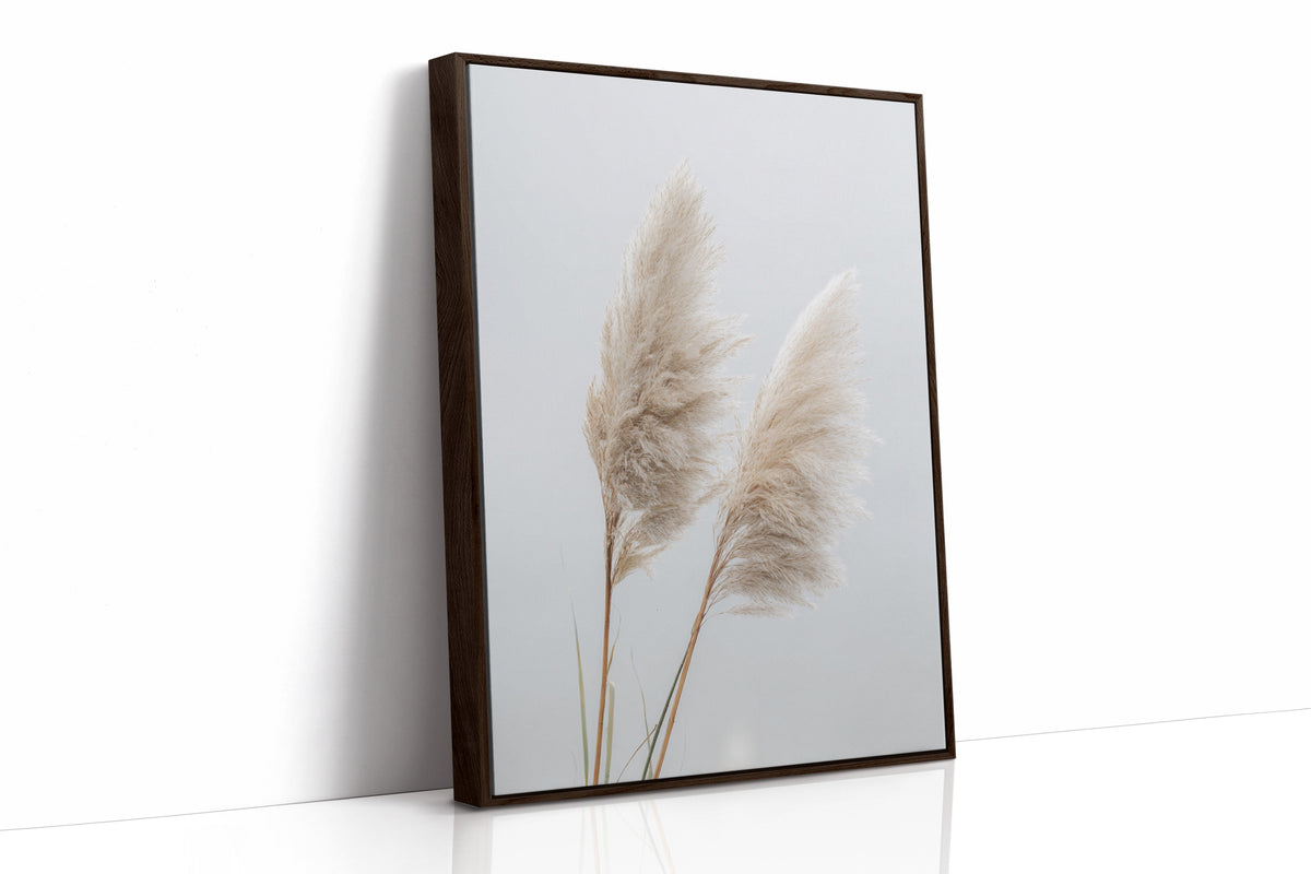 Dancing Grasses In Soft Light