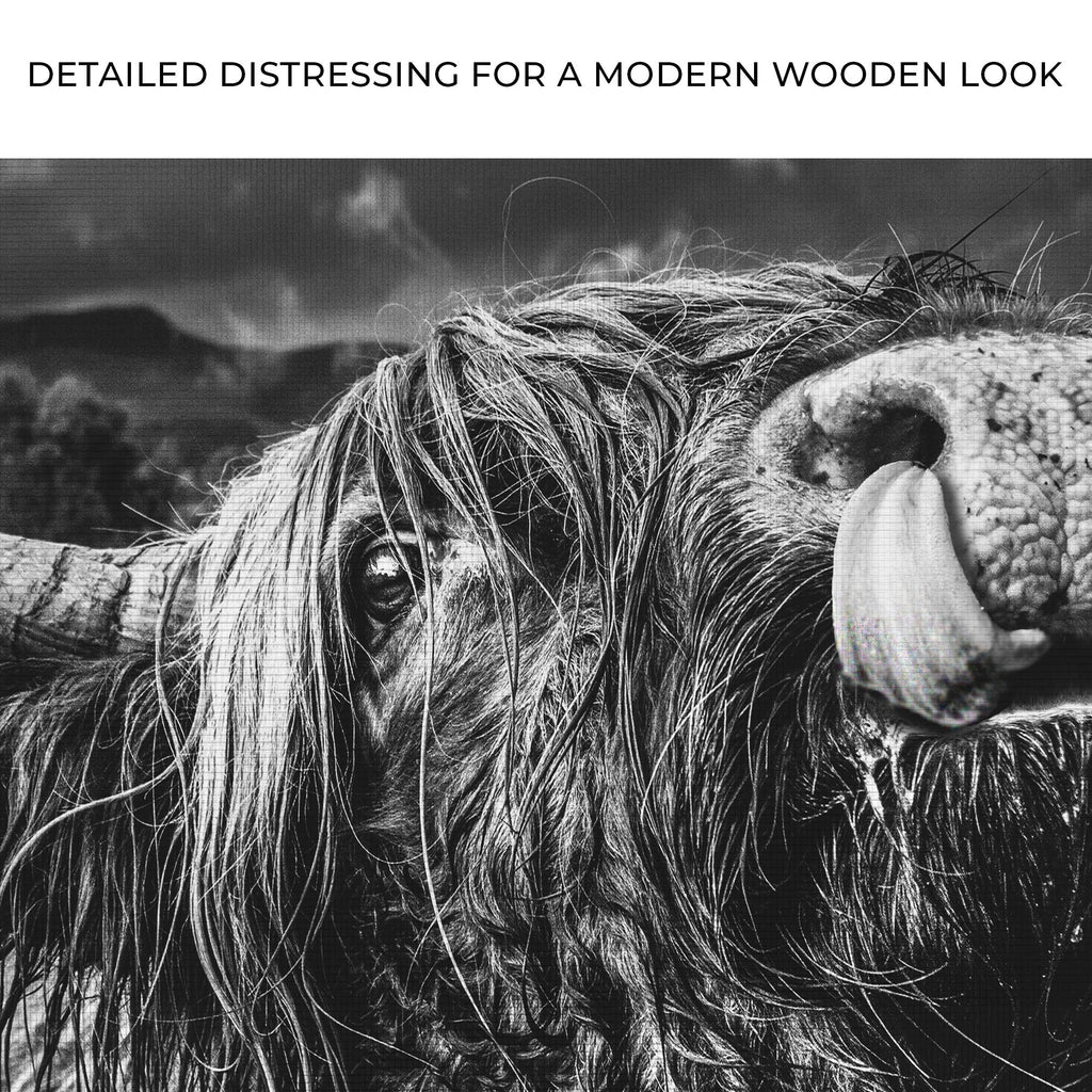 West Highland Cow Monochrome Canvas Wall Art - Quarter Circle AK Boutique