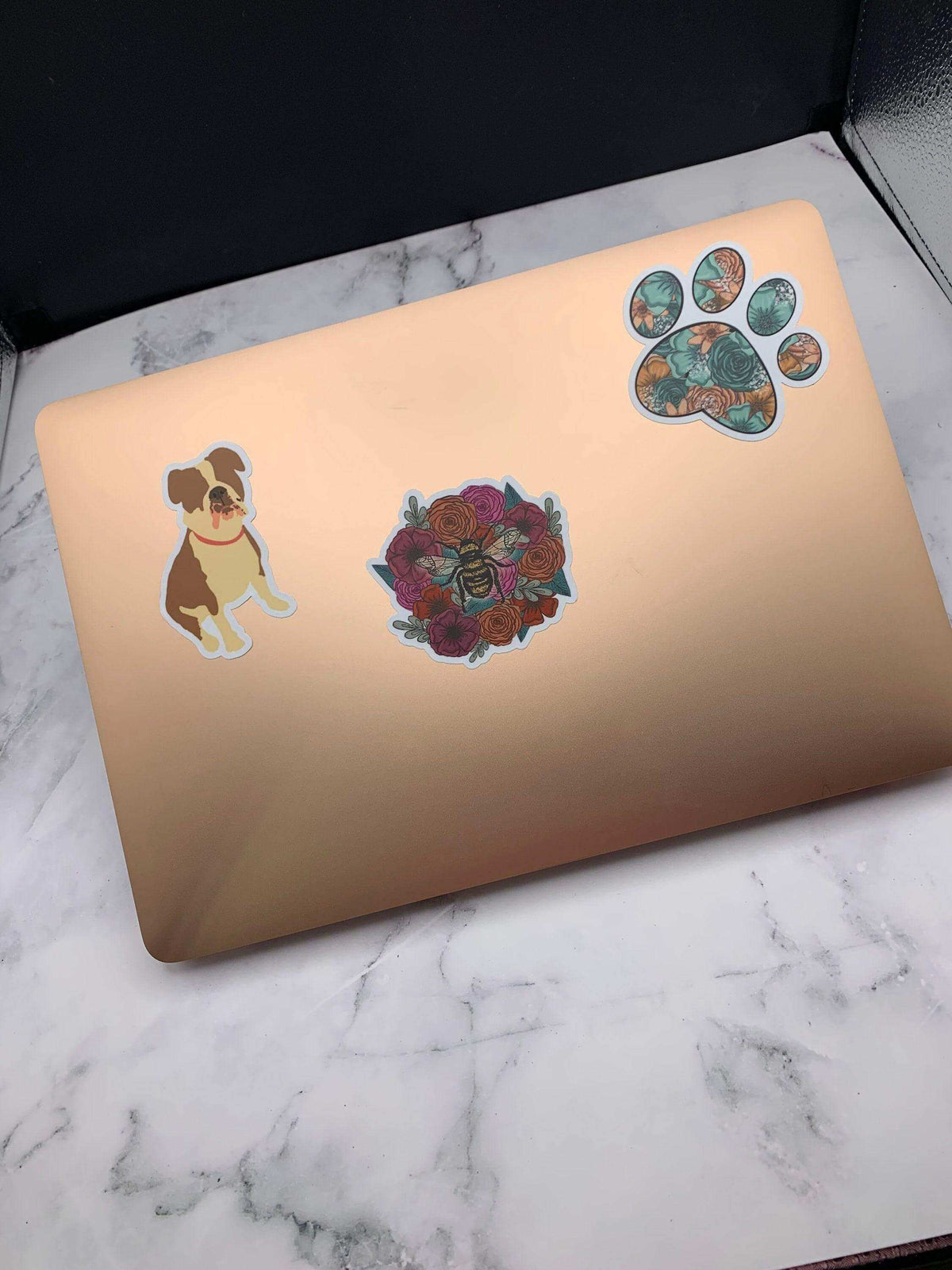 Paw Print Sticker, 3x3 in.